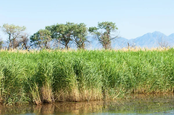  Bozkır yaz. Turgai kapısı. Turgai Kaydet. Milli Parkı 