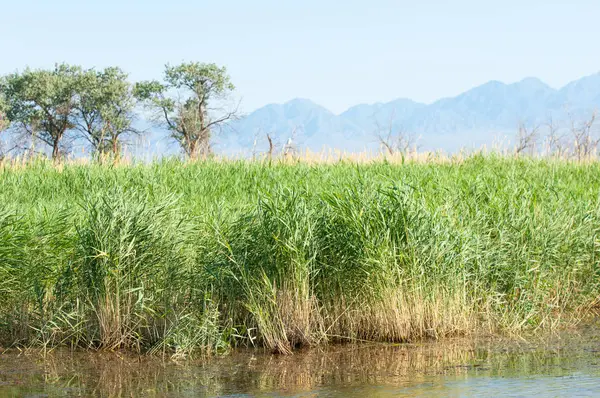  Bozkır yaz. Turgai kapısı. Turgai Kaydet. Milli Parkı 