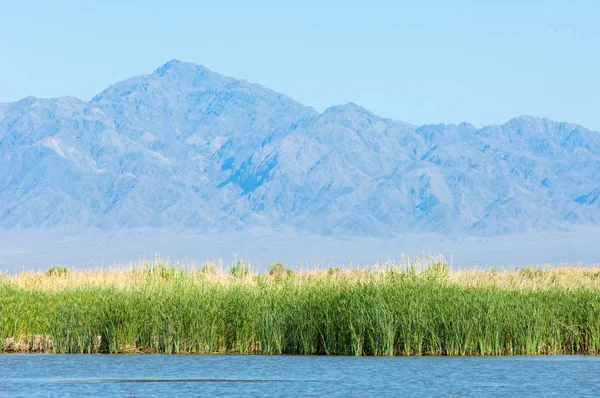  Bozkır yaz. Turgai kapısı. Turgai Kaydet. Milli Parkı 
