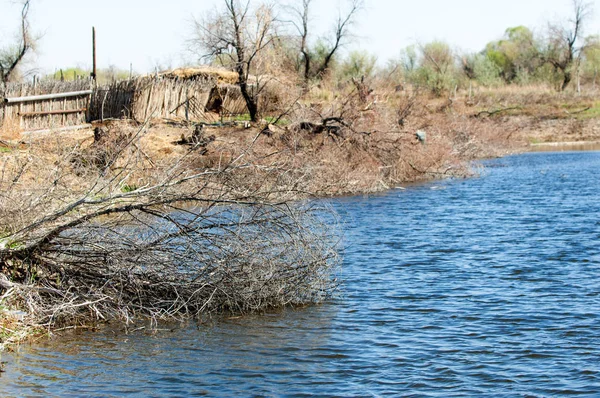 Desierto Desierto Arenas Bosques Desperdicios Sahara Corral Para Ganado Especialmente — Foto de Stock