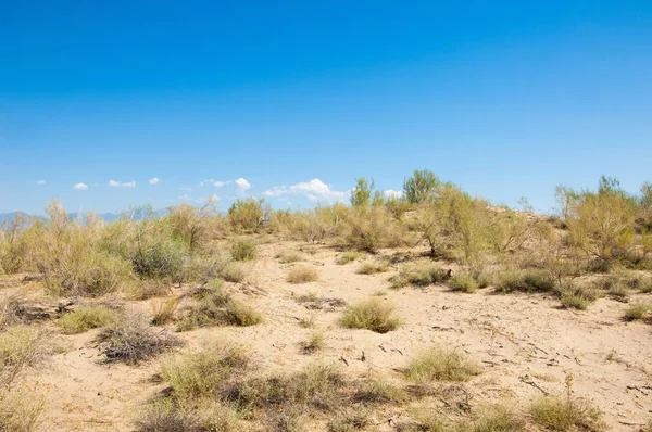  Bozkır yaz. Turgai kapısı. Turgai Kaydet. Milli Parkı 