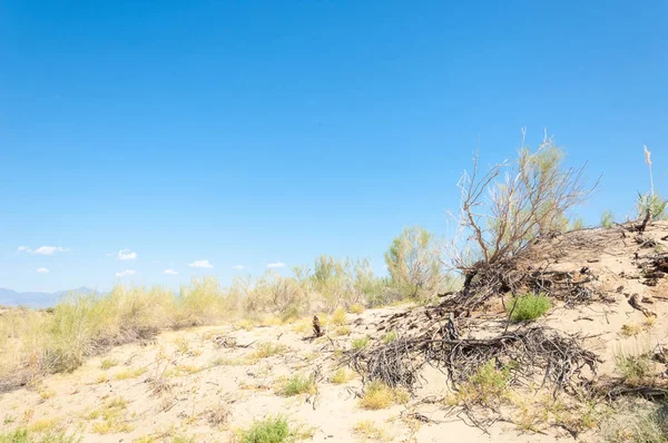  Bozkır yaz. Turgai kapısı. Turgai Kaydet. Milli Parkı 