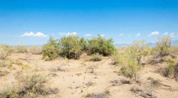  Bozkır yaz. Turgai kapısı. Turgai Kaydet. Milli Parkı 