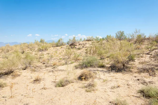  Bozkır yaz. Turgai kapısı. Turgai Kaydet. Milli Parkı 