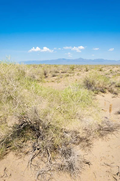  Bozkır yaz. Turgai kapısı. Turgai Kaydet. Milli Parkı 