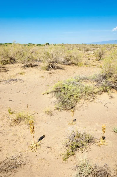  Bozkır yaz. Turgai kapısı. Turgai Kaydet. Milli Parkı 