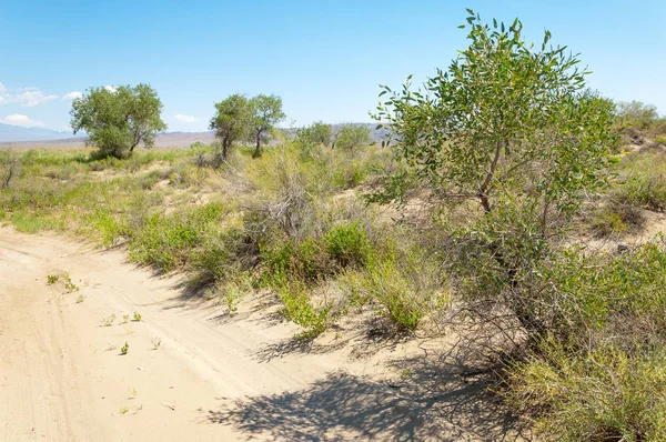 Bozkır yaz. Turgai kapısı. Turgai Kaydet. Milli Parkı 