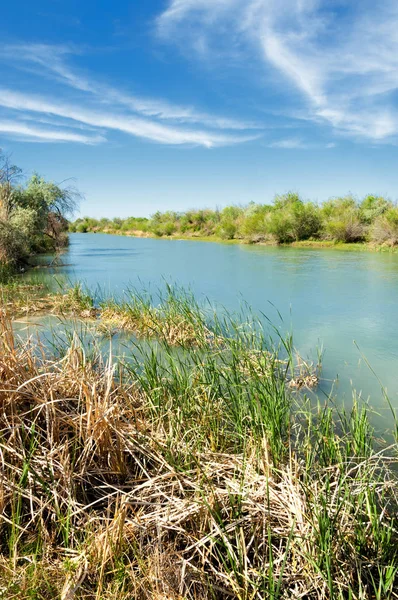 Bozkır nehir sazlık yaz. nehir görünümünde kez izlendi. küçük mavi nehir kıyısında güneşli bir gün