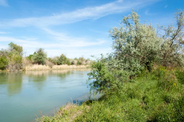 Bozkır nehir sazlık yaz. nehir görünümünde kez izlendi. küçük mavi nehir kıyısında güneşli bir gün
