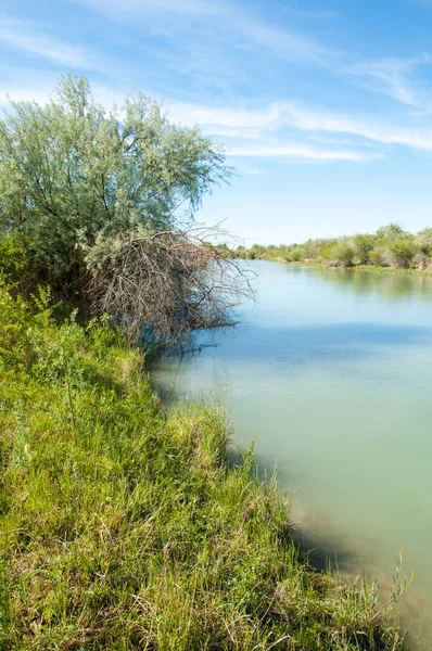 Bozkır nehir sazlık yaz. nehir görünümünde kez izlendi. küçük mavi nehir kıyısında güneşli bir gün
