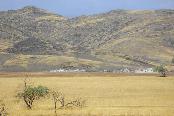 Woodless, zavallı nemi ve genellikle düz ile kuru iklim bölgesinde otsu bitki örtüsü bozkır. çayır, veld, veldt