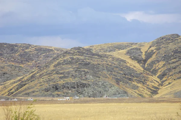 Woodless, zavallı nemi ve genellikle düz ile kuru iklim bölgesinde otsu bitki örtüsü bozkır. çayır, veld, veldt