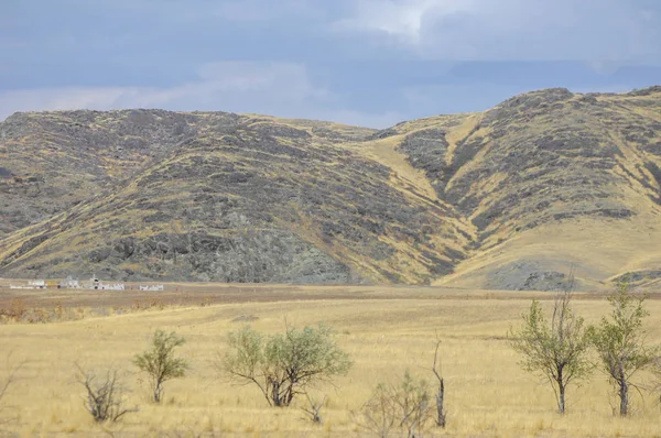 Woodless, zavallı nemi ve genellikle düz ile kuru iklim bölgesinde otsu bitki örtüsü bozkır. çayır, veld, veldt