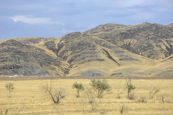 Steppe Est Sans Bois Pauvre Humidité Généralement Plate Avec Une — Photo