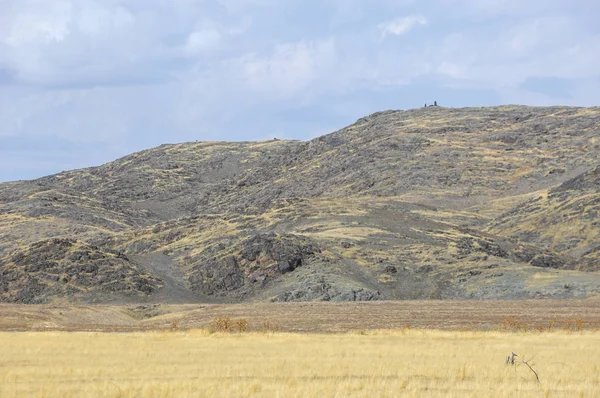 Woodless, zavallı nemi ve genellikle düz ile kuru iklim bölgesinde otsu bitki örtüsü bozkır. çayır, veld, veldt