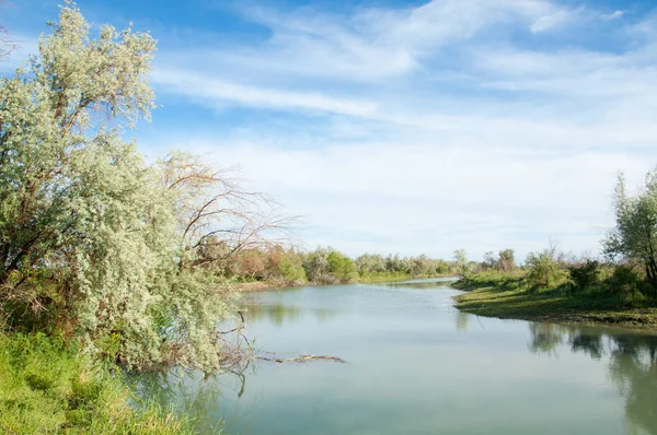 Río Steppe Caña Verano Vistas Vista Del Río Pequeño Río —  Fotos de Stock