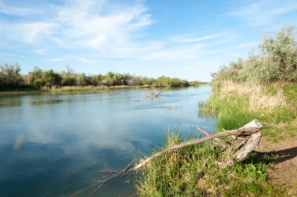 Bozkır nehir sazlık yaz. nehir görünümünde kez izlendi. küçük mavi nehir kıyısında güneşli bir gün