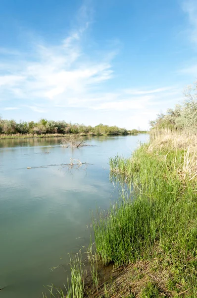 Bozkır nehir sazlık yaz. nehir görünümünde kez izlendi. küçük mavi nehir kıyısında güneşli bir gün