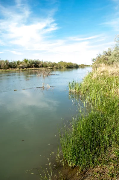 Bozkır nehir sazlık yaz. nehir görünümünde kez izlendi. küçük mavi nehir kıyısında güneşli bir gün
