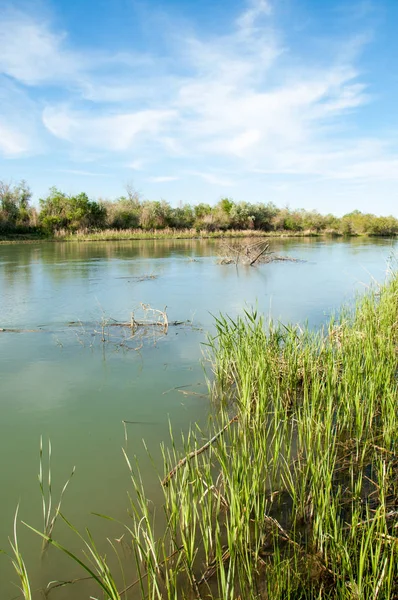 Bozkır nehir sazlık yaz. nehir görünümünde kez izlendi. küçük mavi nehir kıyısında güneşli bir gün