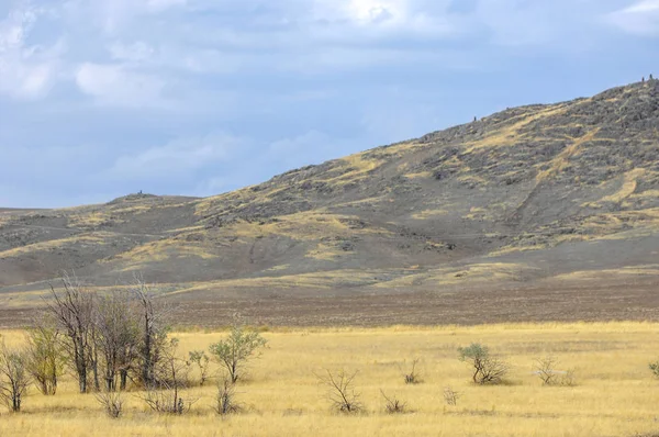 Steppe Est Sans Bois Pauvre Humidité Généralement Plate Avec Une — Photo