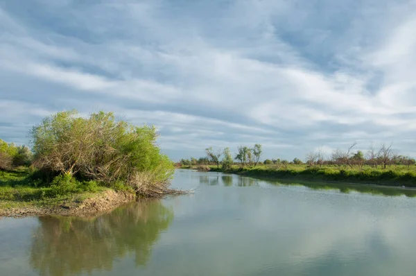 Bozkır nehir sazlık yaz. nehir görünümünde kez izlendi. küçük mavi nehir kıyısında güneşli bir gün
