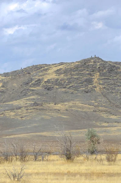 Woodless, zavallı nemi ve genellikle düz ile kuru iklim bölgesinde otsu bitki örtüsü bozkır. çayır, veld, veldt
