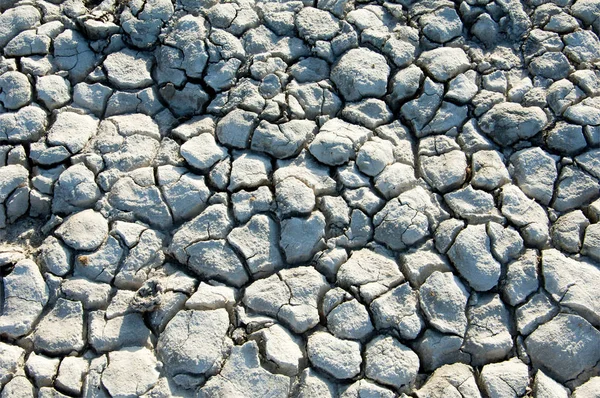 Yere çatlaklar. kuraklık. toprak erozyonu, kırık doku. Kuru kırık zemin. 