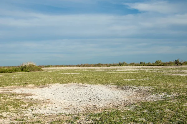 Bozkır tuzlu topraklar. tuz tuz tuz. Bozkır çayır veldt veld. Tuzlu toprak çöl, tuzlu Göller. cansız yanıp kavrulmuş dünyamız. Kazakistan çıplak bozkır