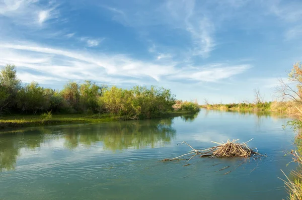 Bozkır nehir sazlık yaz. nehir görünümünde kez izlendi. küçük mavi nehir kıyısında güneşli bir gün