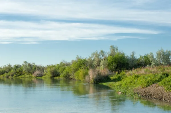 Bozkır nehir sazlık yaz. nehir görünümünde kez izlendi. küçük mavi nehir kıyısında güneşli bir gün