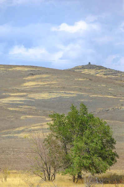 Woodless, zavallı nemi ve genellikle düz ile kuru iklim bölgesinde otsu bitki örtüsü bozkır. çayır, veld, veldt