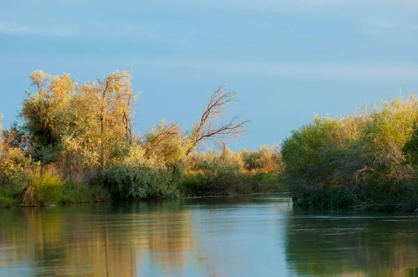 Bozkır nehir sazlık yaz. nehir görünümünde kez izlendi. küçük mavi nehir kıyısında güneşli bir gün