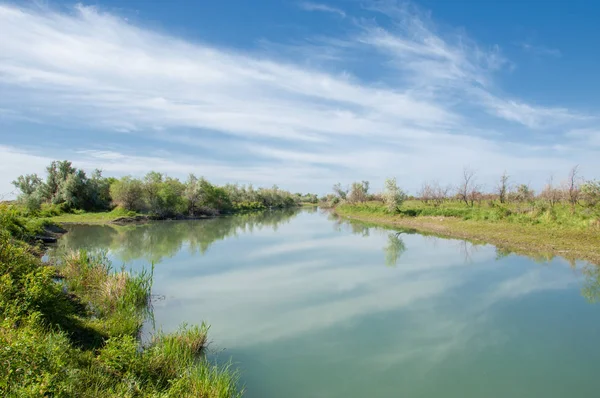 Bozkır nehir sazlık yaz. nehir görünümünde kez izlendi. küçük mavi nehir kıyısında güneşli bir gün