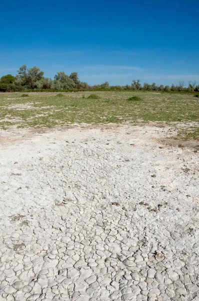 Bozkır tuzlu topraklar. tuz tuz tuz. Bozkır çayır veldt veld. Tuzlu toprak çöl, tuzlu Göller. cansız yanıp kavrulmuş dünyamız. Kazakistan çıplak bozkır