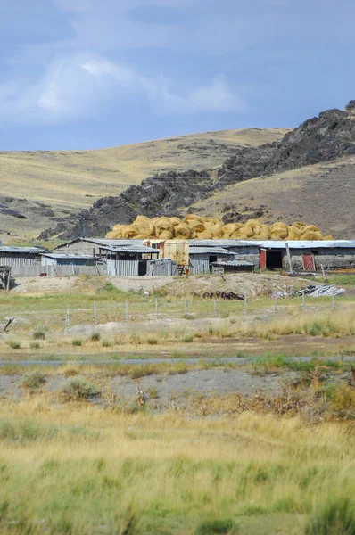 Woodless, zavallı nemi ve genellikle düz ile kuru iklim bölgesinde otsu bitki örtüsü bozkır. çayır, veld, veldt