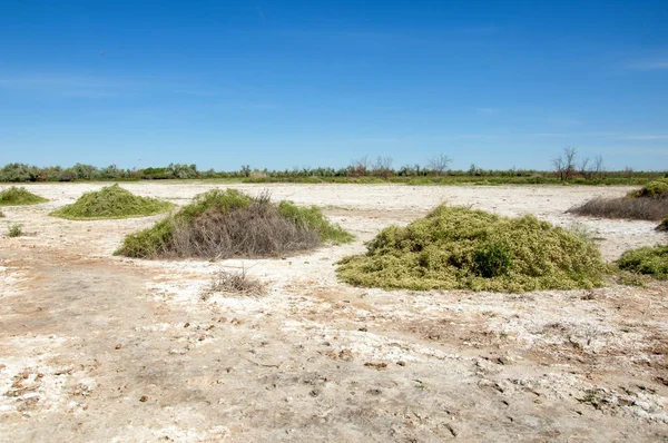 Bozkır tuzlu topraklar. tuz tuz tuz. Bozkır çayır veldt veld. Tuzlu toprak çöl, tuzlu Göller. cansız yanıp kavrulmuş dünyamız. Kazakistan çıplak bozkır