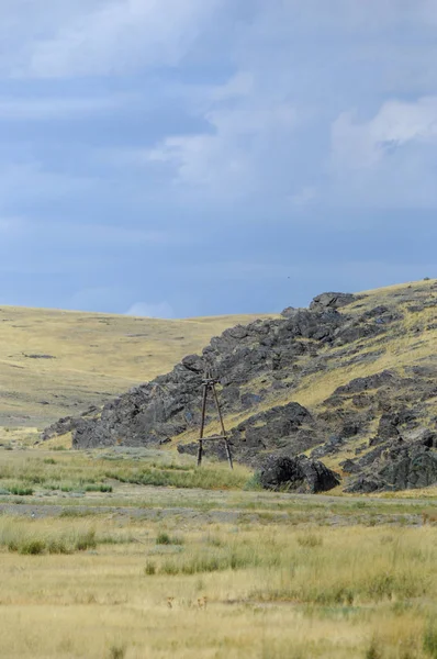 Woodless, zavallı nemi ve genellikle düz ile kuru iklim bölgesinde otsu bitki örtüsü bozkır. çayır, veld, veldt