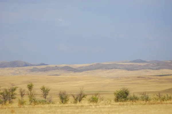 Steppe Est Sans Bois Pauvre Humidité Généralement Plate Avec Une — Photo