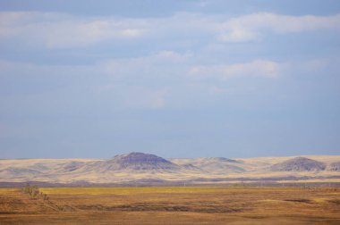 Woodless, zavallı nemi ve genellikle düz ile kuru iklim bölgesinde otsu bitki örtüsü bozkır. çayır, veld, veldt