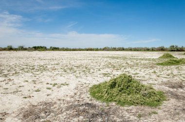 Bozkır tuzlu topraklar. tuz tuz tuz. Bozkır çayır veldt veld. Tuzlu toprak çöl, tuzlu Göller. cansız yanıp kavrulmuş dünyamız. Kazakistan çıplak bozkır