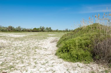 Bozkır tuzlu topraklar. tuz tuz tuz. Bozkır çayır veldt veld. Tuzlu toprak çöl, tuzlu Göller. cansız yanıp kavrulmuş dünyamız. Kazakistan çıplak bozkır