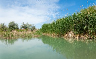 Bozkır nehir sazlık yaz. nehir görünümünde kez izlendi. küçük mavi nehir kıyısında güneşli bir gün