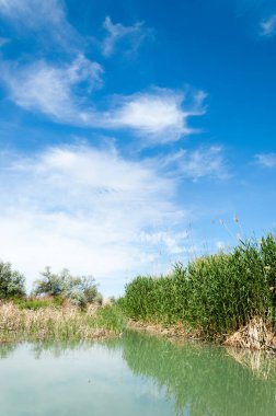 Bozkır nehir sazlık yaz. nehir görünümünde kez izlendi. küçük mavi nehir kıyısında güneşli bir gün