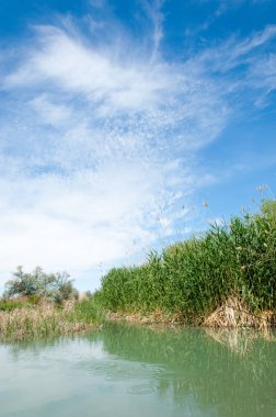 Bozkır nehir sazlık yaz. nehir görünümünde kez izlendi. küçük mavi nehir kıyısında güneşli bir gün