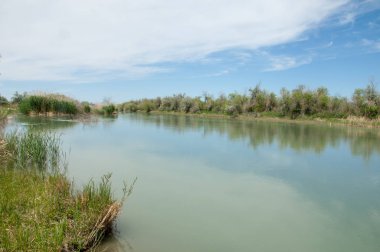 Bozkır nehir sazlık yaz. nehir görünümünde kez izlendi. küçük mavi nehir kıyısında güneşli bir gün