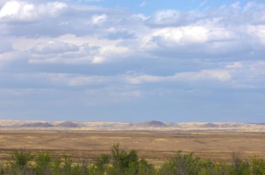 Woodless, zavallı nemi ve genellikle düz ile kuru iklim bölgesinde otsu bitki örtüsü bozkır. çayır, veld, veldt