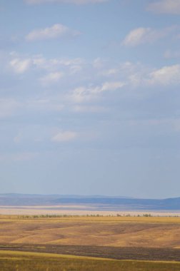 Woodless, zavallı nemi ve genellikle düz ile kuru iklim bölgesinde otsu bitki örtüsü bozkır. çayır, veld, veldt