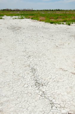 Bozkır tuzlu topraklar. tuz tuz tuz. Bozkır çayır veldt veld. Tuzlu toprak çöl, tuzlu Göller. cansız yanıp kavrulmuş dünyamız. Kazakistan çıplak bozkır