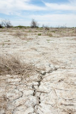 Bozkır tuzlu topraklar. tuz tuz tuz. Bozkır çayır veldt veld. Tuzlu toprak çöl, tuzlu Göller. cansız yanıp kavrulmuş dünyamız. Kazakistan çıplak bozkır